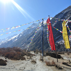 direct-nepal-helpen-langtang