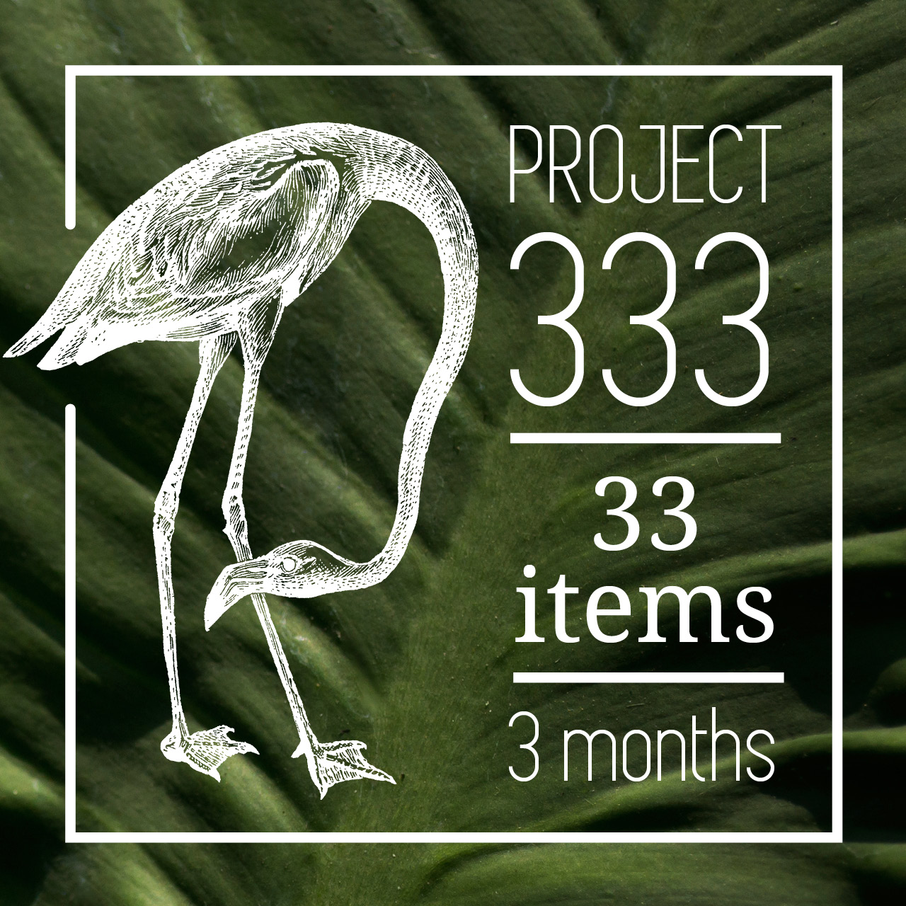 alles over project 333 regels