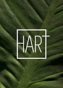 goede voornemen 2016 hart | Laura en James