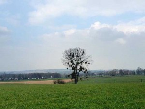 duurzaam op vakantie in Zuid Limburg| www.lauraenjames.com