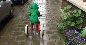 Leven zonder