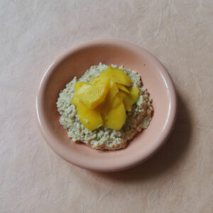Your Healthy Life in 21 Days sinaasappel havermout met mango