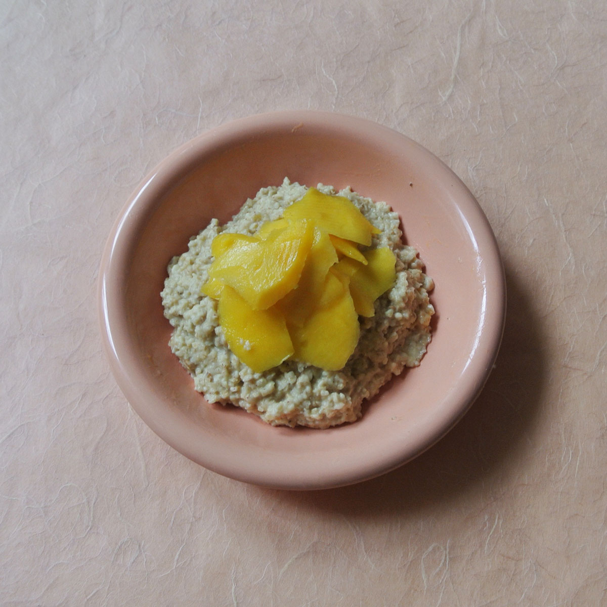 Your Healthy Life in 21 Days sinaasappel havermout met mango