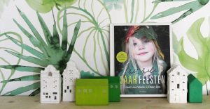 Het hele jaar feesten door Lisa Wade en Daan Rot- review