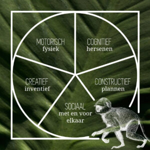 speelgoed schijf van vijf: motorisch, cognitief, constructief, sociaal en creatief