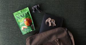 Nada - gezonde snacks van fruit appel
