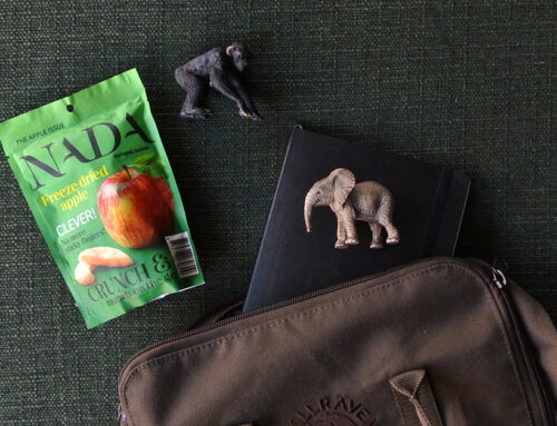 Nada – gezonde snacks van fruit