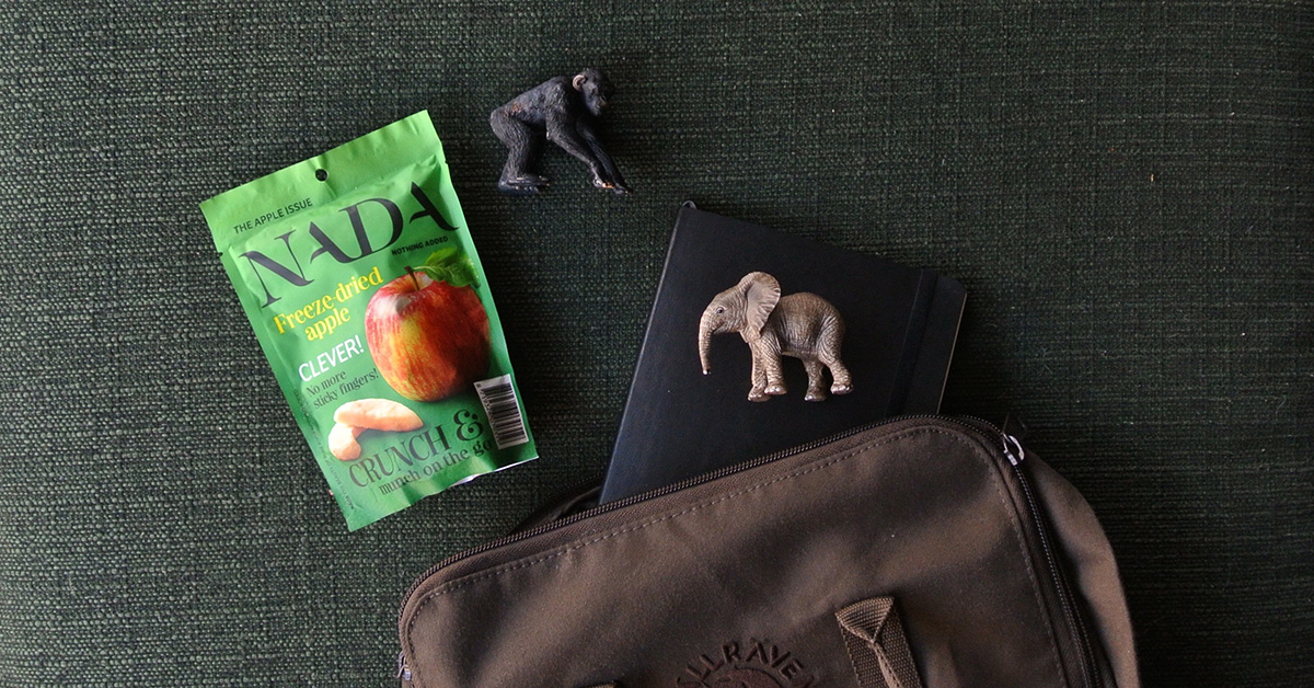 Nada - gezonde snacks van fruit appel