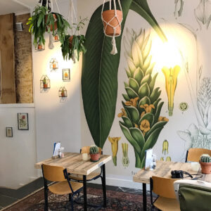 Gouda duurzame winkels en restaurants Kurkuma