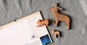 Familieplanner Leven met het Jaar review